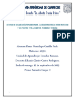 Actividad 3 - Organización Familiar Romana, Clases de Parentesco, Patria Protestad y Sus Fuentes, Tutela, Curatela, Propiedad y Posesión