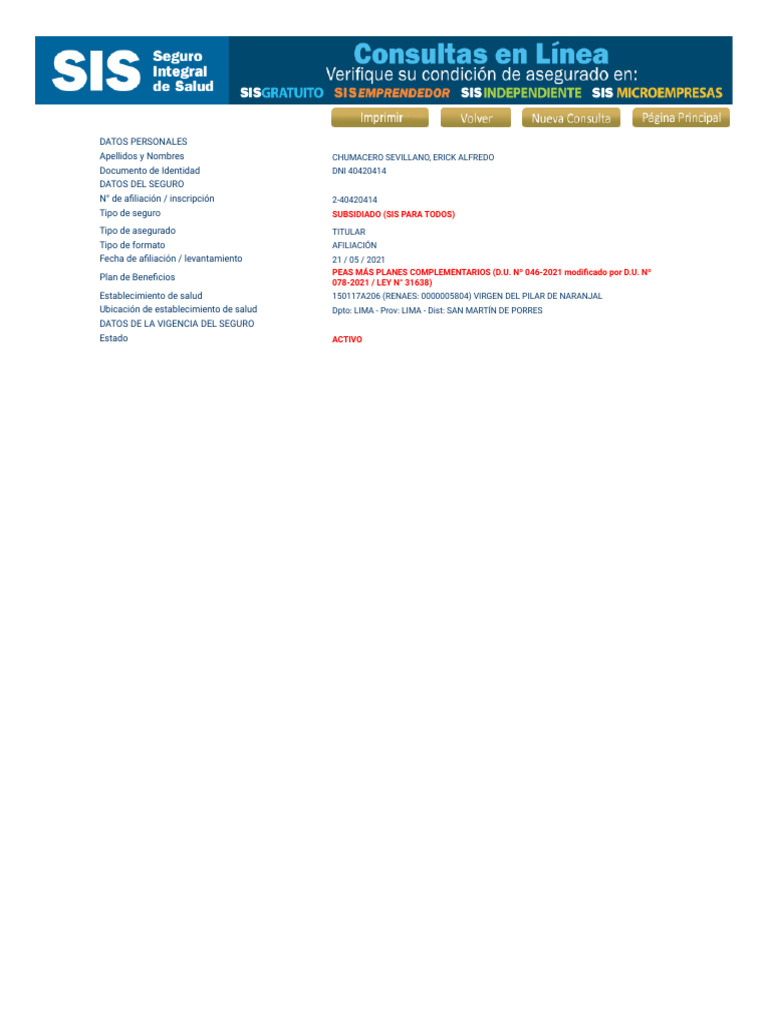 Consultas en linea sis detalle pdf