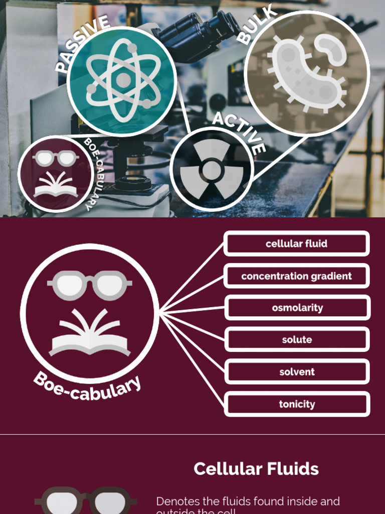 Cell Transport Download Free PDF Osmosis Cell Membrane