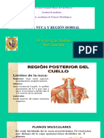 Nuca y Region Dorsal