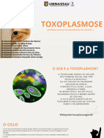 Toxoplasmose 