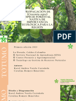 PROPAGACIÓN DE (Crescentia Cujete) ESPECIE FORESTAL NATIVA DE IMPORTANCIA ECOLÓGICA PARA LA REGIÓN