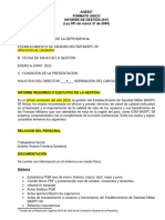 Modelo Informe de Gestion