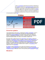 Consulta Lisina 1