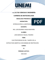 Electroforesis en Gel y Mapeo de La Estructura Con Enzimas de Restricción