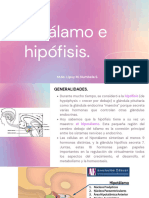 Hipotálamo e Hipófisis. - Compressed