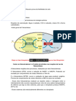 Resumo Prova de Fisiologia p1