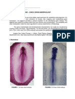 LAB EXERCISE 6 - Chick Embryo - Gross Morphology