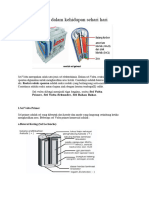 Sel Volta Dalam Kehidupan Sehari Hari