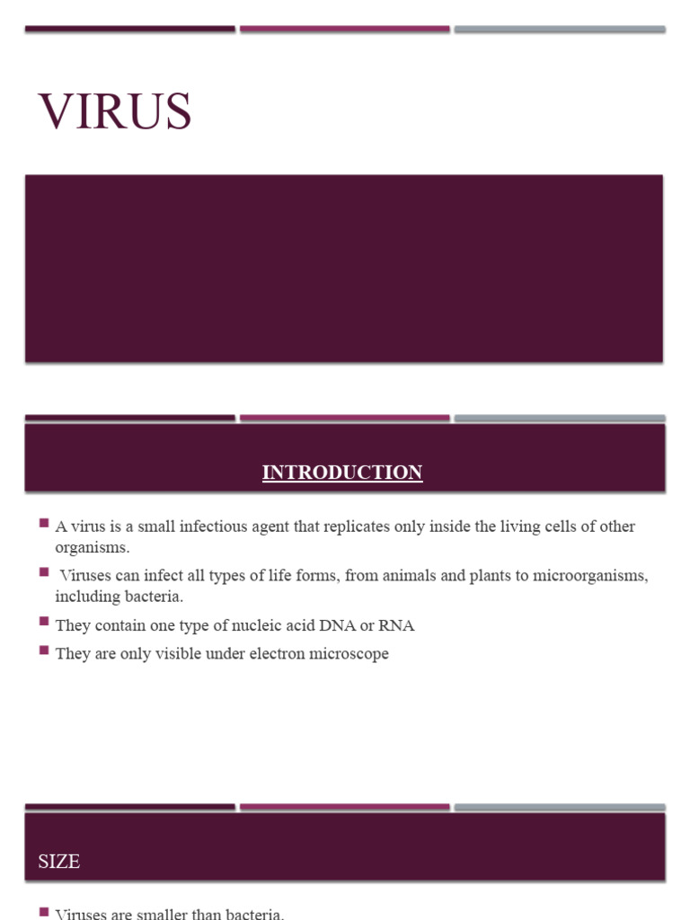 Virus PDF Virus Dna