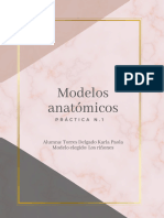 Práctica 1. Modelos Anatómicos