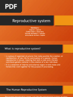 Reproductive System - Bio 2