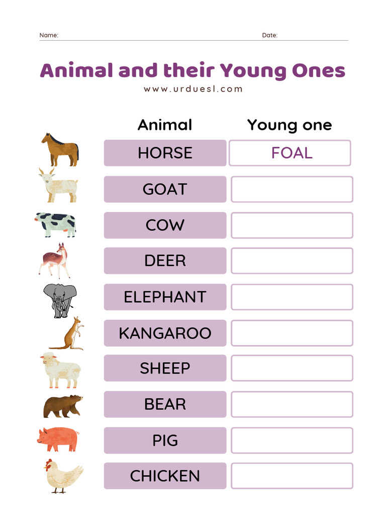 Animals and Their Young Ones Worksheet PDF