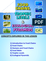 Food Chains, Trophic Level and Ecological Pyramids