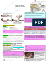 Resumo de Neurologia 