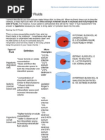 Download Understanding IV Fluids by Joe Anne Maniulit MSN RN SN68905179 doc pdf