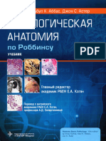 2 Патологическая Анатомия По Роббинсу - Учебник Для Вузов (Винай Кумар)