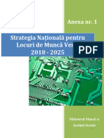 20171128-Anexa--Strategie-SNLMV-21112017
