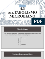 4.3 Metabolismo Microbiano: Por: Joana Patricia Bastar Rosales y Guadalupe de Jesús Campos Mejía