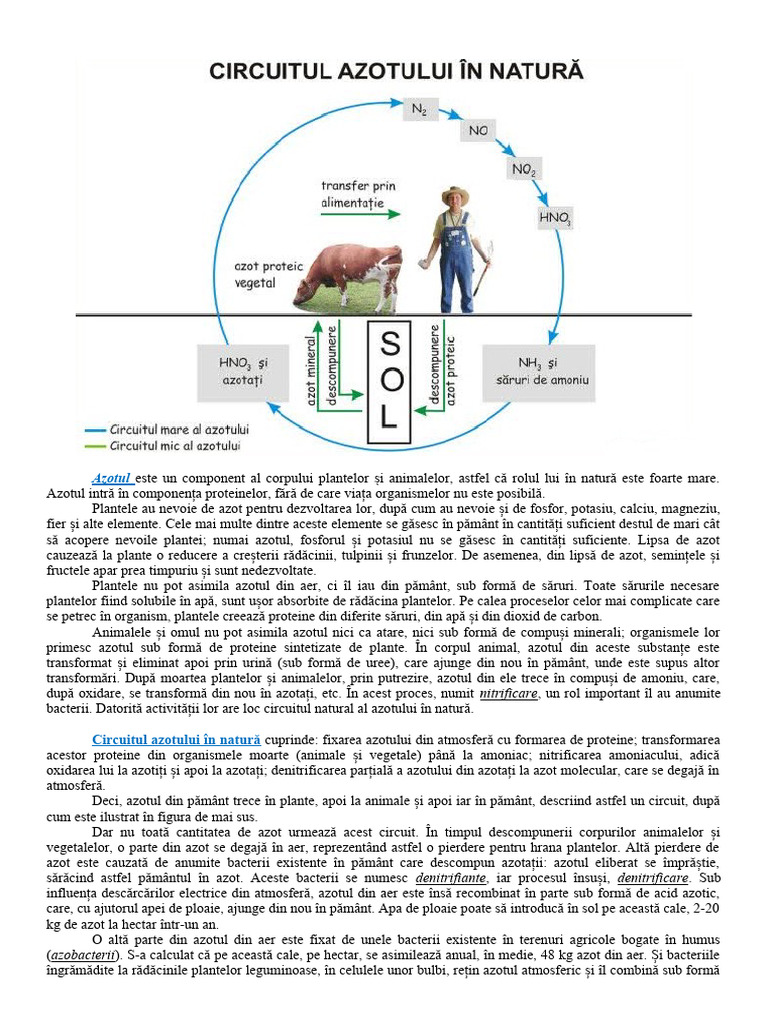 Circuitul Azotului in Natura - Bio Opt - 25.10.2023 | PDF