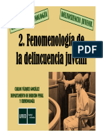 Fenomenología