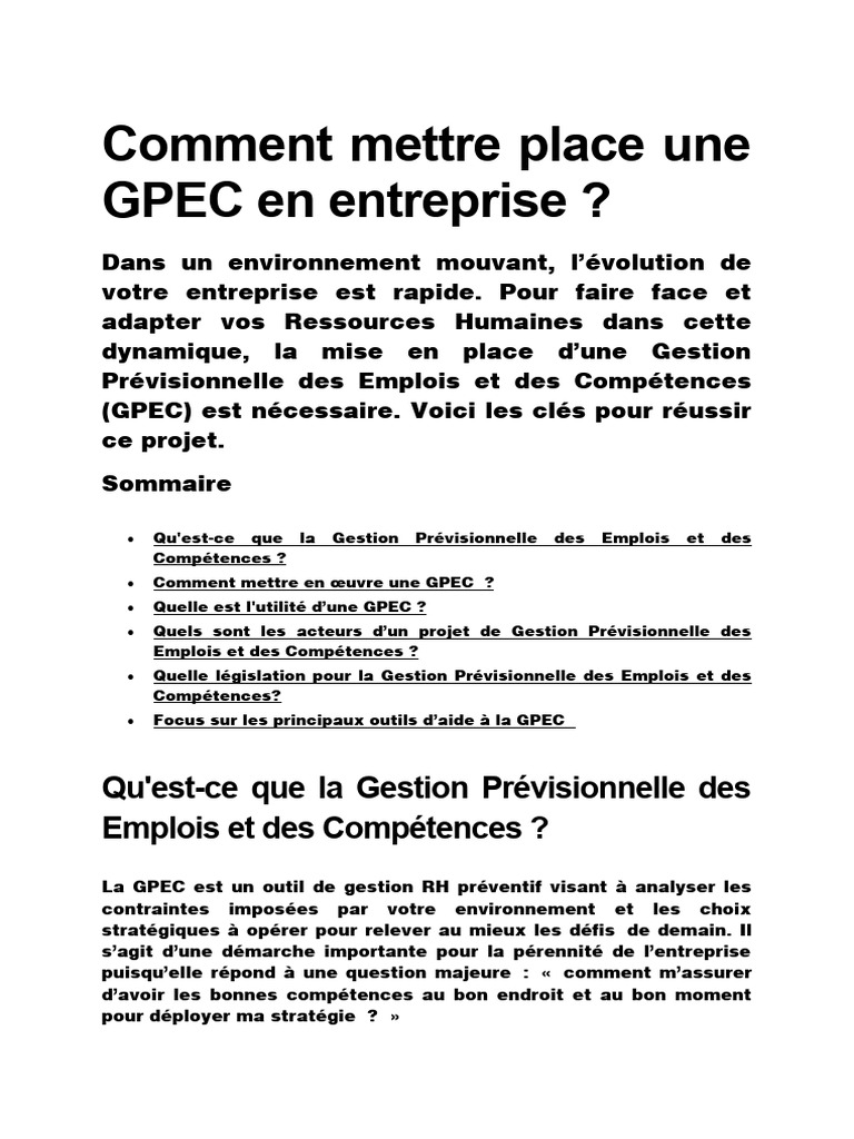 Mettre en place une GPEC efficace | PDF | Gestion des ressources ...