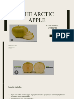 The Arctic Apple