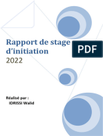 Rapport de Stage Dinitiation 2022 Realis