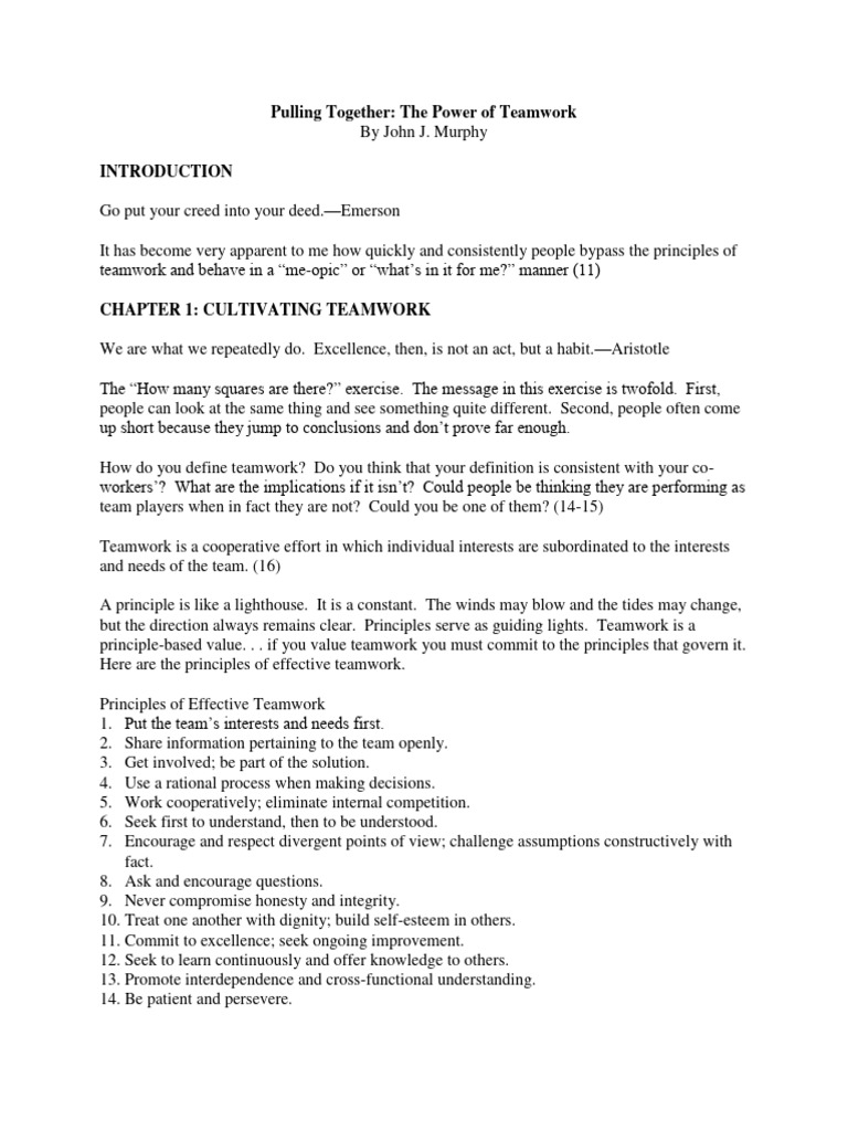 Pulling Together by Murphy PDF Leadership Performance Appraisal