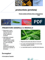 Regnul Protista