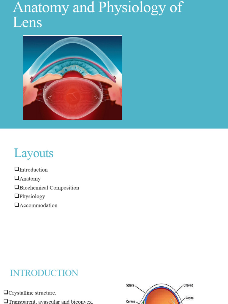 CLINICAL ANATOMY AND PHYSIOLOGY OF THE VISUAL SYSTEM PDF DOWNLOAD visual data 8