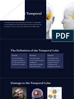 Exploring The Temporal Lobe