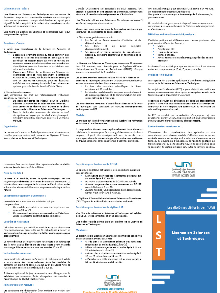 Définition de la Licence en Sciences et Techniques | PDF