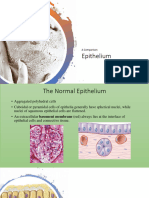 Epithelium: A Comparison