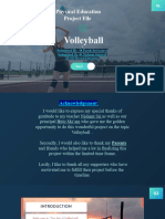 Volleybaskl