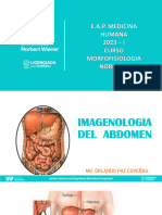 Imagenologia Del Abdomen