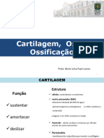 4 - Cartilagem Osso Ossificaçã FisioTO - 2018