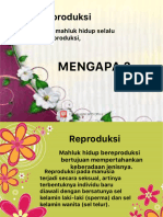 Sistem Reproduksi Manusia PPT