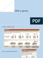 Dna y Genes