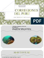 Las Ecorregiones Del Perú