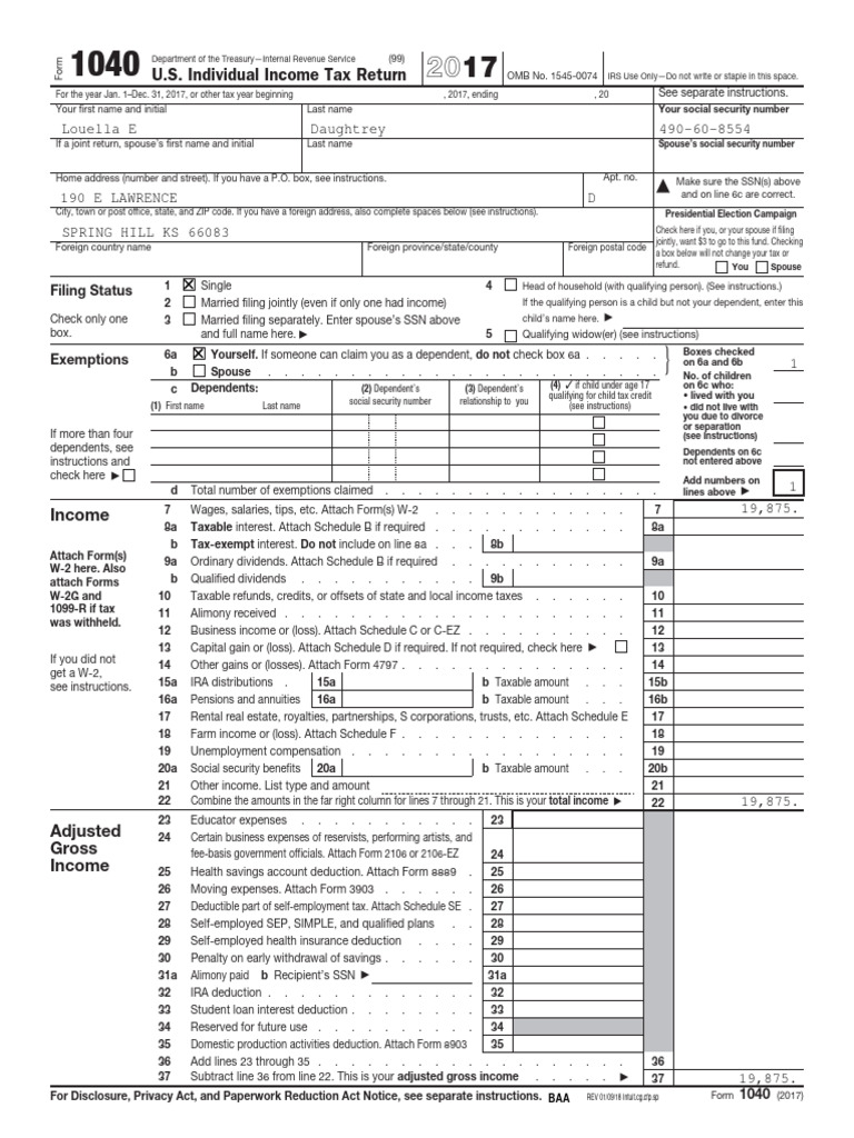 2017 TaxReturn PDF Irs Tax Forms Health Savings Account