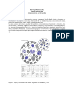 GP6 Histologia 2023