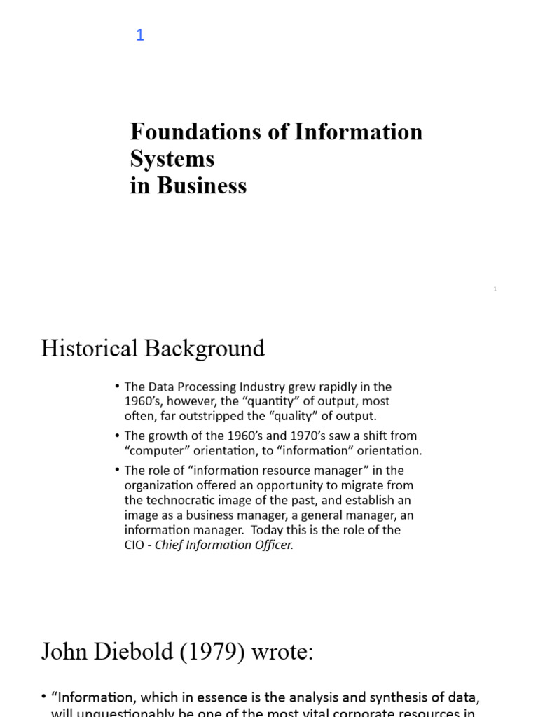 Foundations of Information Systems in Business | PDF | Information ...