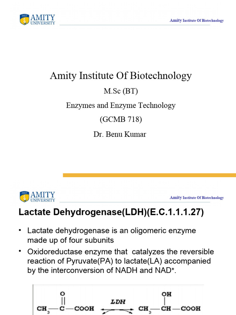 Overview of LDH Isoenzymes | PDF | Lactate Dehydrogenase | Pyruvic Acid