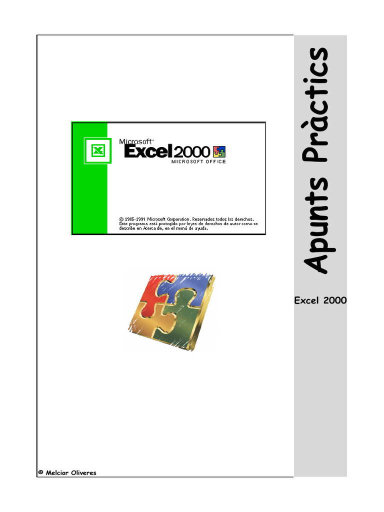Excel 2000 | PDF