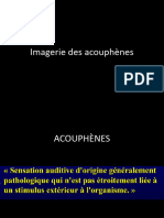 Imagerie Des Acouphènes