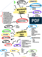 Mapa Mental Identificação Humana