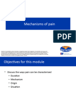 2. Mechanism of Pain - Copy