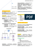 Imunologia - Thais Morais-1 2