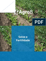 Constituição Do Solo PROT